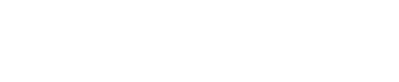 Zipline
